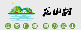 龙山村